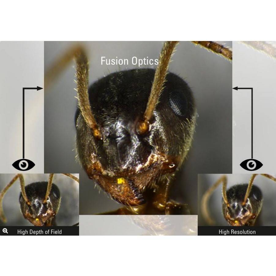Исследовательские стереомикроскопы Leica M125 M165 M205