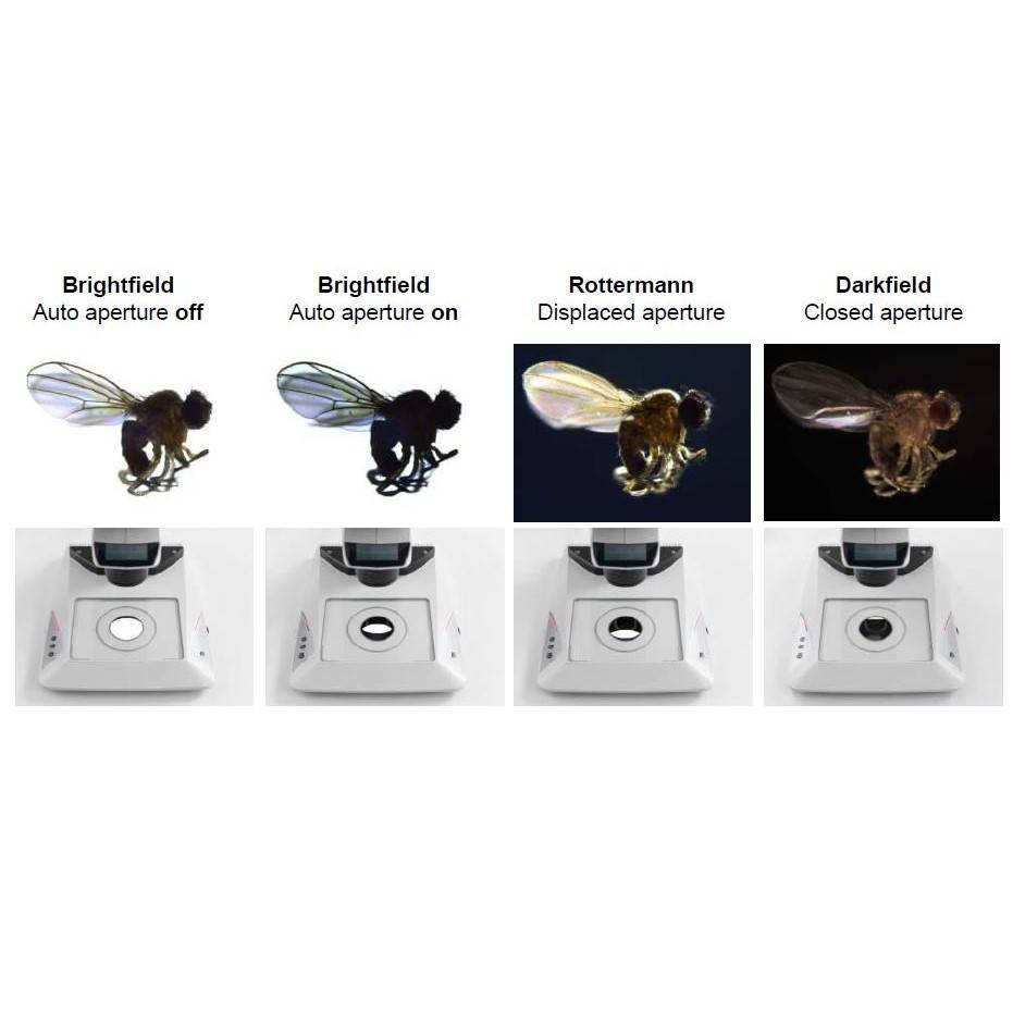 Источники освещения для стереомикроскопов Leica LED