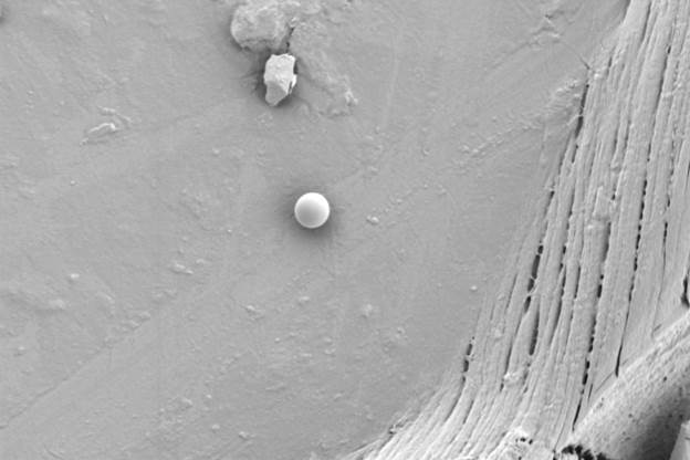 Снимок со сканирующего электронного микроскопа LANSEM 30