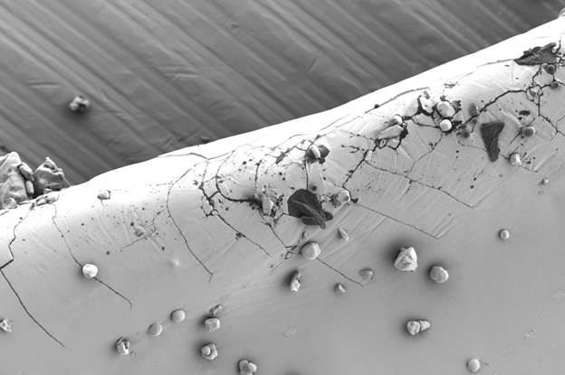 Снимок со сканирующего электронного микроскопа LANSEM 30