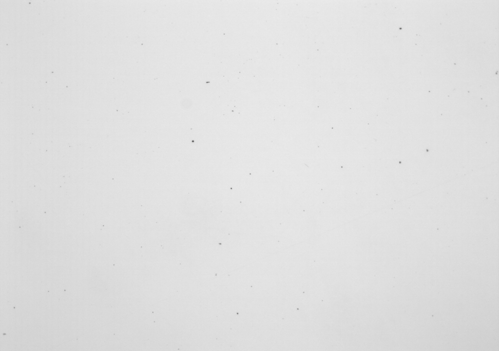 Образец №1 2 x100.PNG