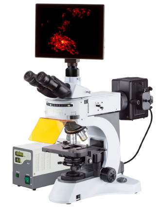 CB800FL с планшетом.png