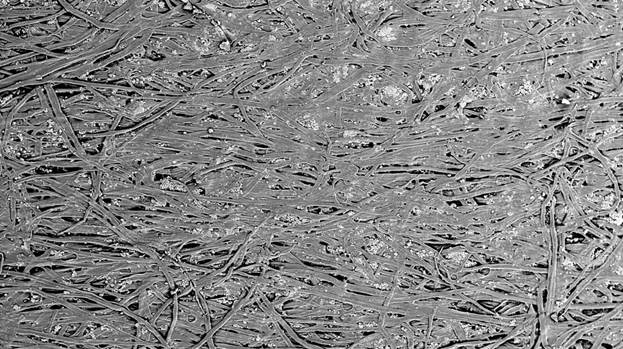 Синеркон: Морфология поверхности бумаги для заметок (стикеры)