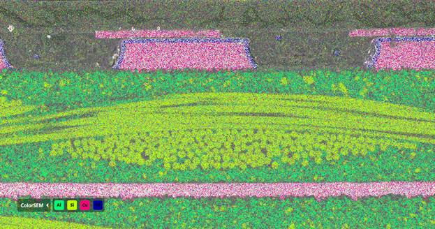 Псвевдоцветная визуализация ЭДС структур ПКП на СЭМ LANSEM 20