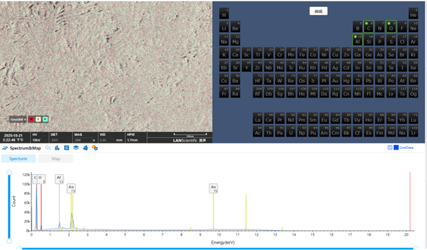 EDS‑спектр и псевдоцветная карта распределения элементов для лабораторной бумаги для везвешивания (без Ca)