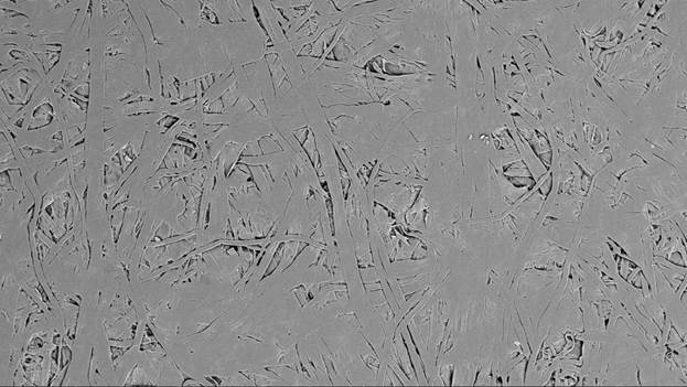 Синеркон: Морфология поверхности лабораторной бумаги для взвешивания
