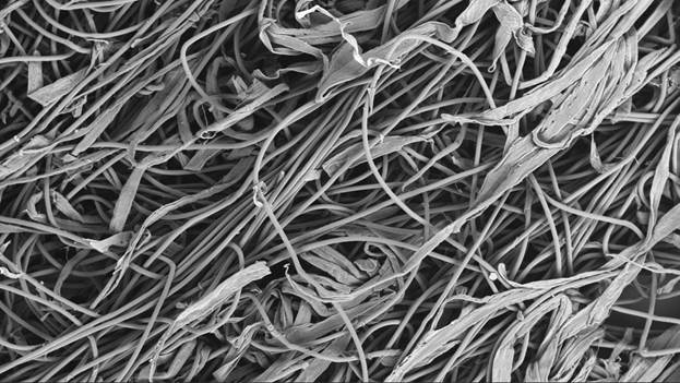 Синеркон: Морфология поверхности безпылевой бумаги