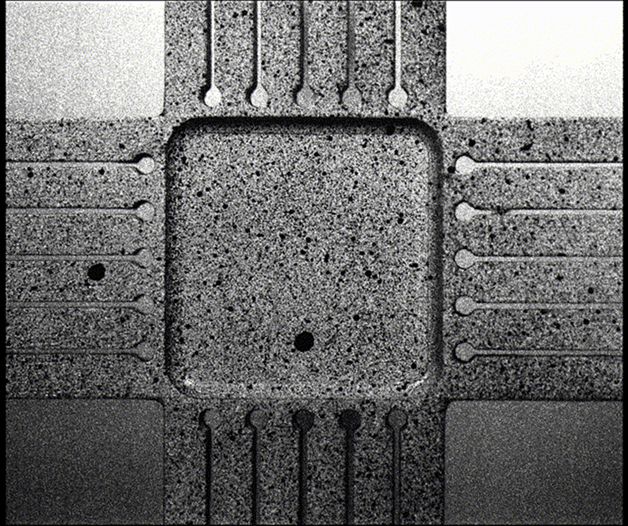Название: Biaxial Testing Animation - описание: Biaxial Testing Animation