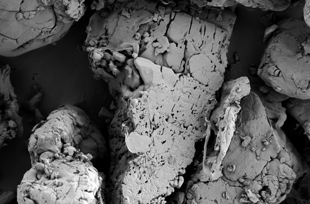 Снимок со сканирующего электронного микроскопа LANSEM 30