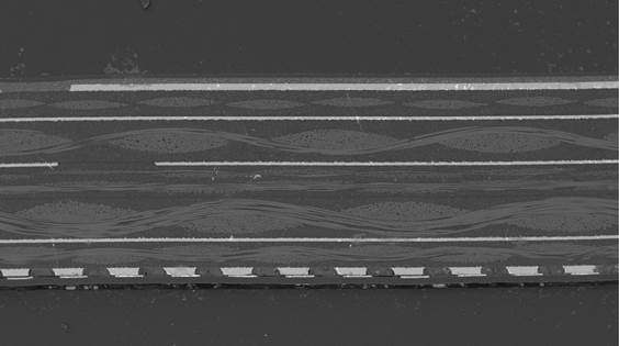 Микроструктура среза ПКП в режиме BSED на СЭМ LANSEM 20