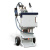 PMI-MASTER SMART