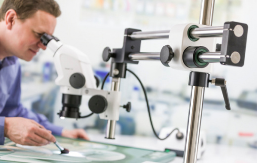 Исследовательский стереомикроскоп Carl Zeiss Stemi 508